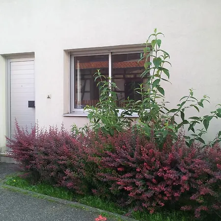 Studio Menagerie Apartman *